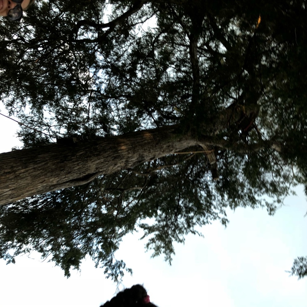 Meet your Posher, Amalia